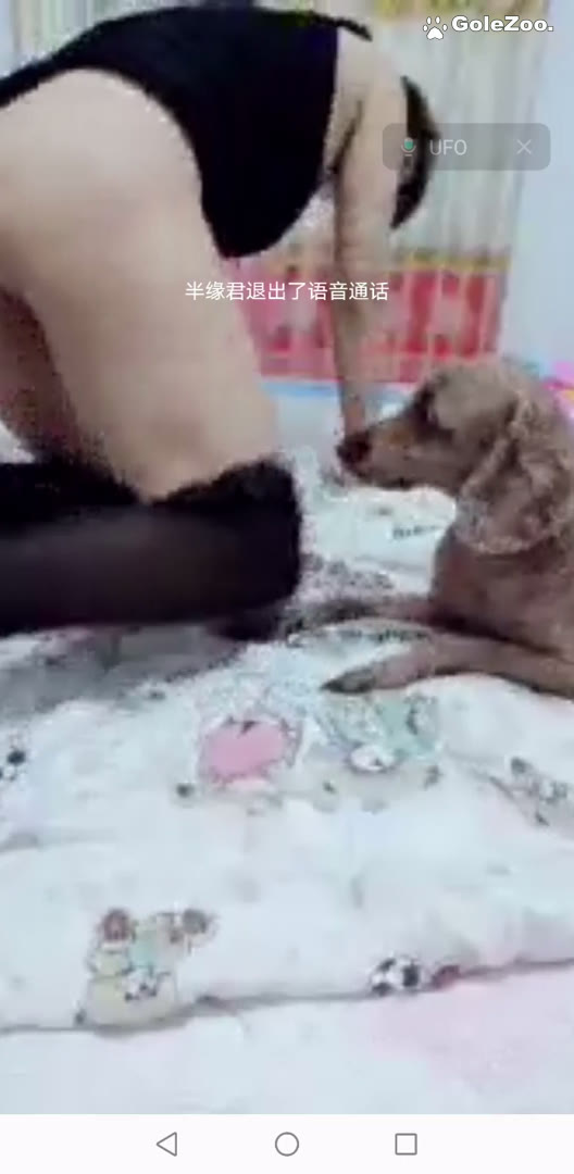 Qiuyue the Dog (1)
