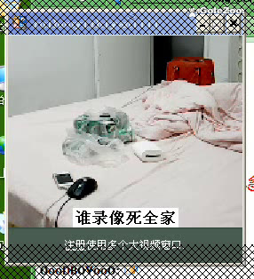 秋月狗狗 (10)