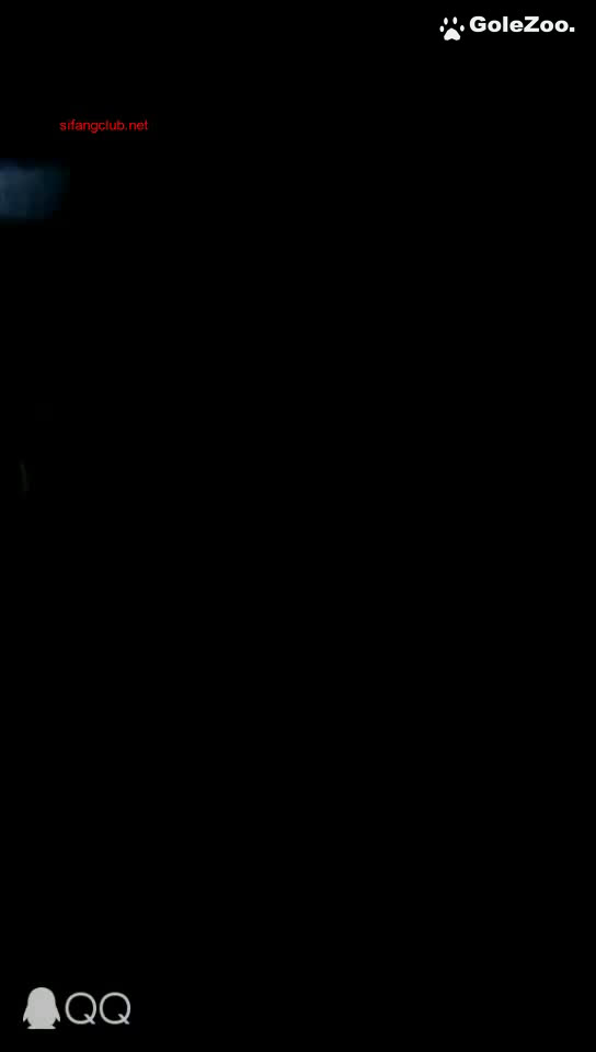 秋月狗狗 (40)