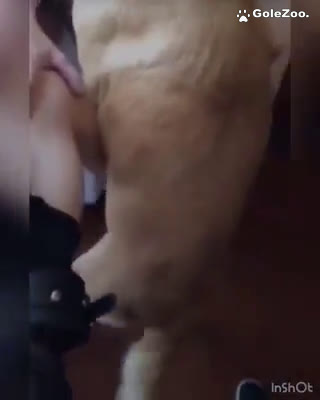 秋月狗狗 (420)