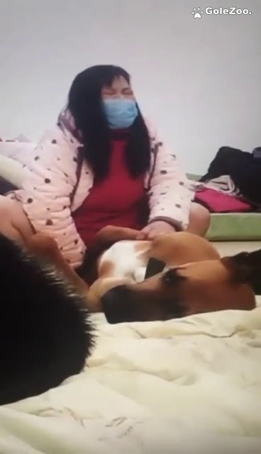 秋月狗狗 (442)