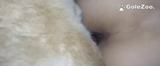 Qiuyue the Dog (6)