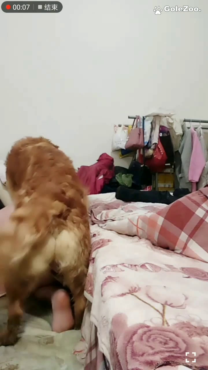 Qiuyue the Dog (94)