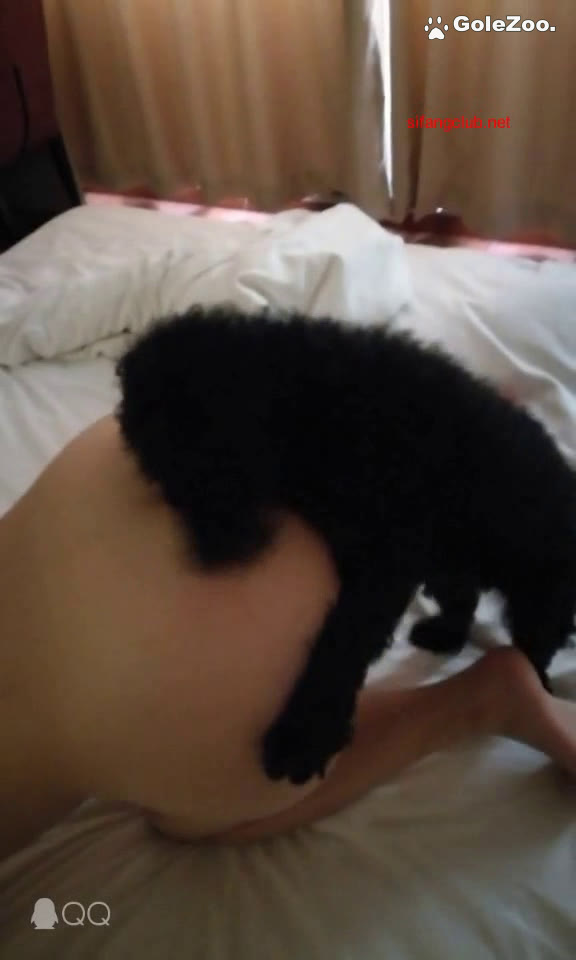 27