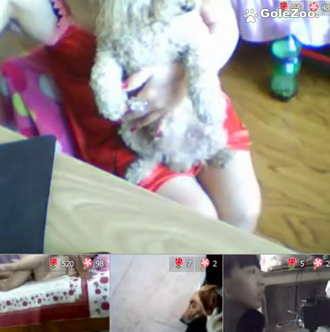 Qiuyue the Dog (15)