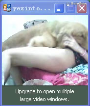 Qiuyue the Dog (1)