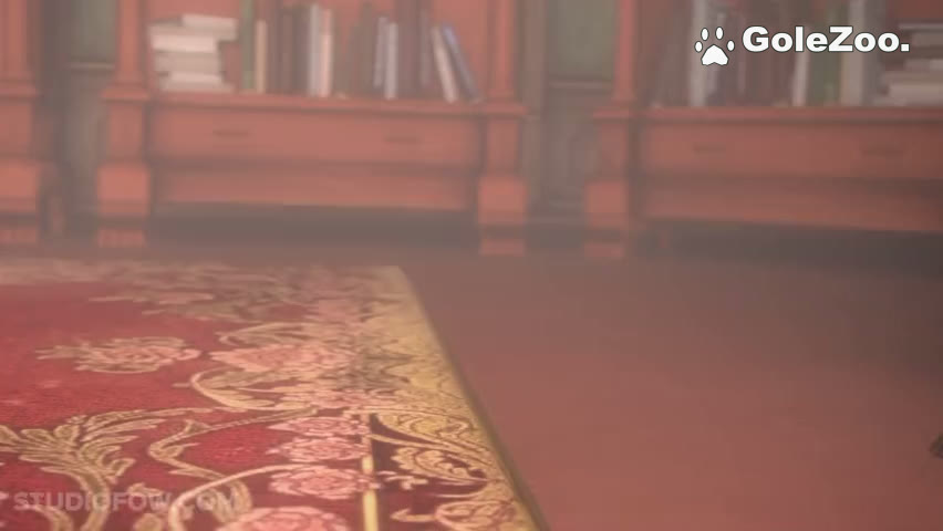 秋月狗狗 (125)