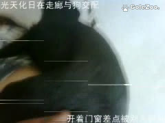 秋月狗狗 (247)