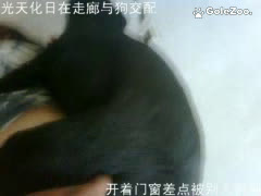 秋月狗狗 (273)