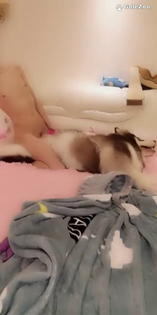 秋月狗狗 (280)