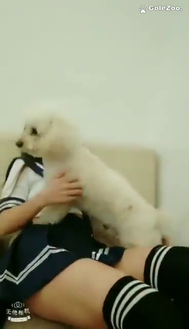 Qiuyue the Dog (285)