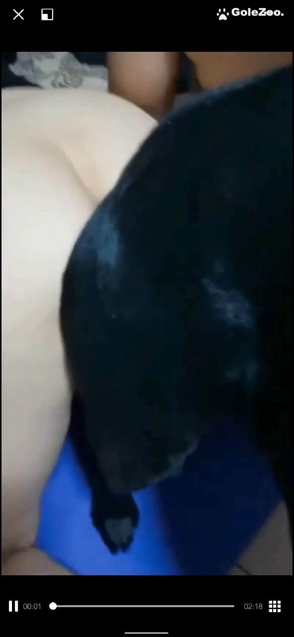 秋月狗狗 (303)