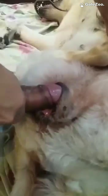 秋月狗狗 (328)